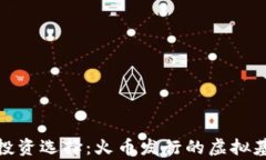 打破常规的投资选择：火