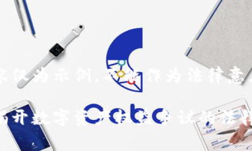 声明：以下内容仅为示例，不能作为法律意见或数据来源。

虚拟币诉讼：揭开数字资产权益争议的法律之幕