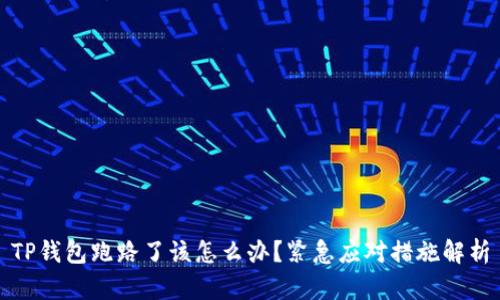 TP钱包跑路了该怎么办？紧急应对措施解析
