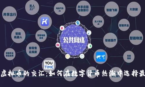 显卡与虚拟币的交汇：如何在数字货币热潮中选择最佳显卡