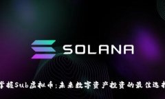 掌握Sub虚拟币：未来数字