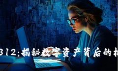 虚拟货币312：揭秘数字资