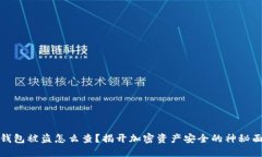TP钱包被盗怎么查？揭开加