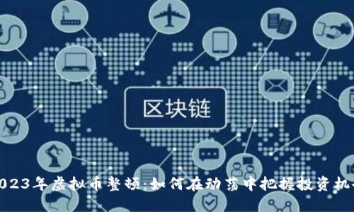2023年虚拟币整顿：如何在动荡中把握投资机会