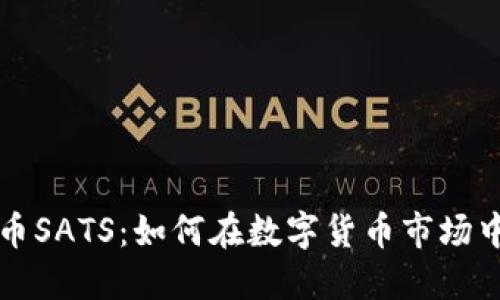 揭秘虚拟币SATS：如何在数字货币市场中脱颖而出