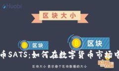 揭秘虚拟币SATS：如何在数