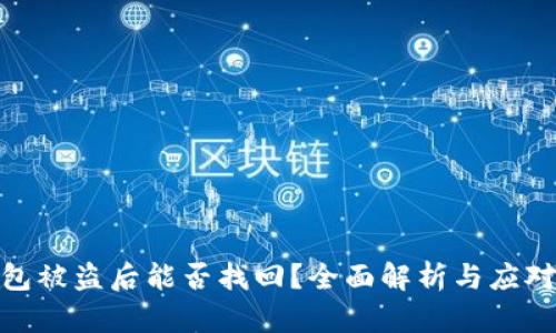 TP钱包被盗后能否找回？全面解析与应对措施