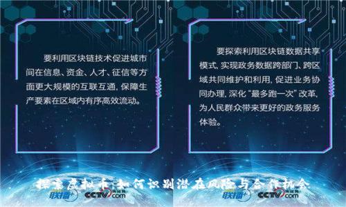 探索虚拟币：如何识别潜在风险与合作机会