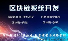 深入解析RCO虚拟币：投资