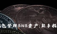 如何使用TP钱包管理BNB资产
