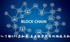 深入了解EFC虚拟币：未来
