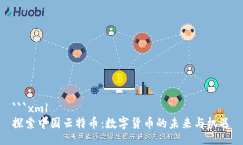 ```xml
探索中国云特币：数字货币的未来与机遇