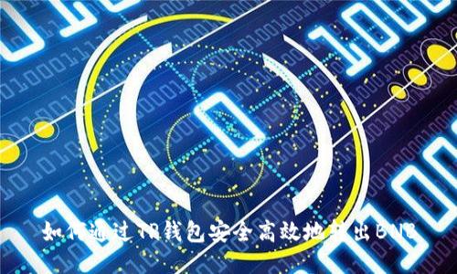 如何通过TP钱包安全高效地转出BNB
