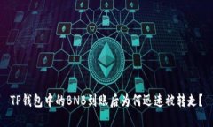 TP钱包中的BNB到账后为何迅