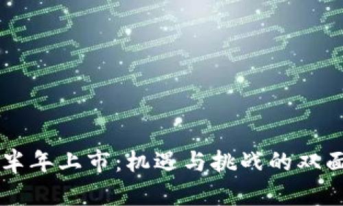 虚拟币半年上市：机遇与挑战的双面交响曲