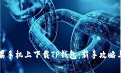 如何在苹果手机上下载T