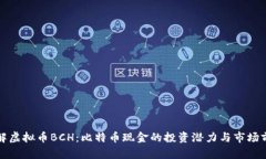 巧解虚拟币BCH：比特币现