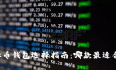 虚拟币钱包选择指南：哪
