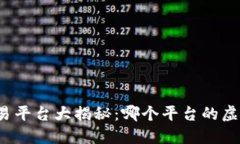 全球虚拟币交易平台大揭