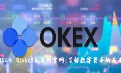 TSLA Global交易所官网：了解