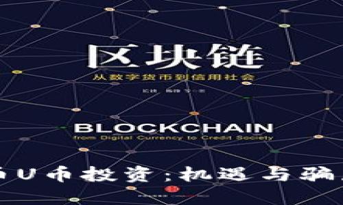 虚拟货币U币投资：机遇与骗局的边缘