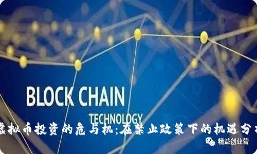 虚拟币投资的危与机：在禁止政策下的机遇分析