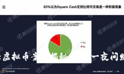 盐城最大虚拟币案件揭秘：如何一夜间财富梦碎？