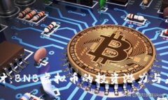 深入探讨：BNB虚拟币的投