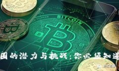 虚拟币圈的潜力与挑战：