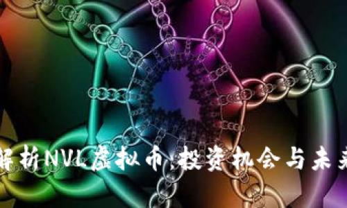 深入解析NVL虚拟币：投资机会与未来发展