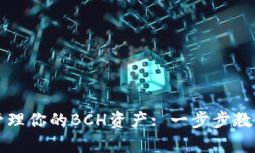 如何利用TP钱包安全管理你的BCH资产: 一步步教你搭建数字财富的防线