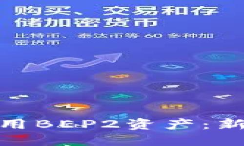 TP钱包如何安全使用BEP2资产：新手指南与最佳实践 