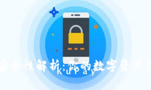 TP钱包安全性解析：你的数字资产保护指南