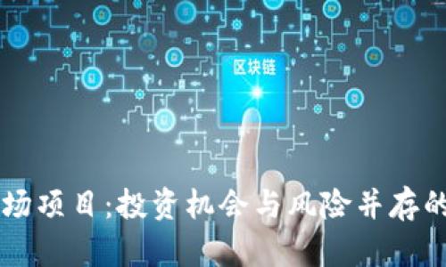 虚拟币一级市场项目：投资机会与风险并存的数字时代探索