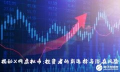 揭秘X网虚拟币：投资者的
