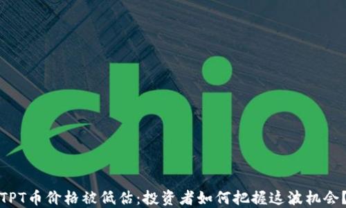 
TPT币价格被低估：投资者如何把握这波机会？