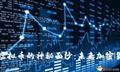 揭开NWC虚拟币的神秘面纱