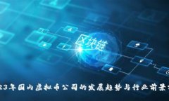 2023年国内虚拟币公司的发