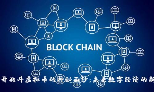 揭开北斗虚拟币的神秘面纱：未来数字经济的新星