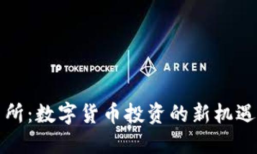 TP交易所：数字货币投资的新机遇与挑战