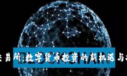 TP交易所：数字货币投资的新机遇与挑战