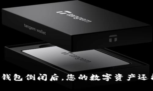 虚拟货币钱包倒闭后，您的数字资产还能保住吗？