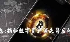 消失的虚拟币钱包：揭秘