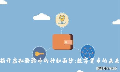lhaoti揭开虚拟骆驼币的神秘面纱：数字货币的未来与挑战