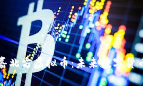 深入探讨嘉北方虚拟币：未来数字货币的风向标