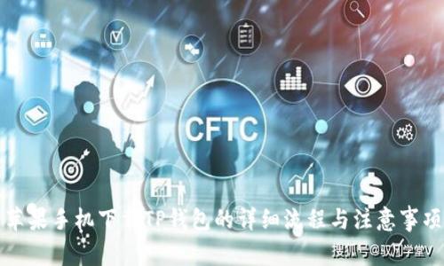 苹果手机下载TP钱包的详细流程与注意事项