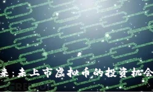 探索未来：未上市虚拟币的投资机会与风险