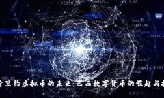 探索里约虚拟币的未来：