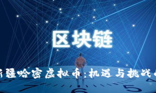 探索新疆哈密虚拟币：机遇与挑战的交织