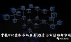 掌握BRE虚拟币的未来：投